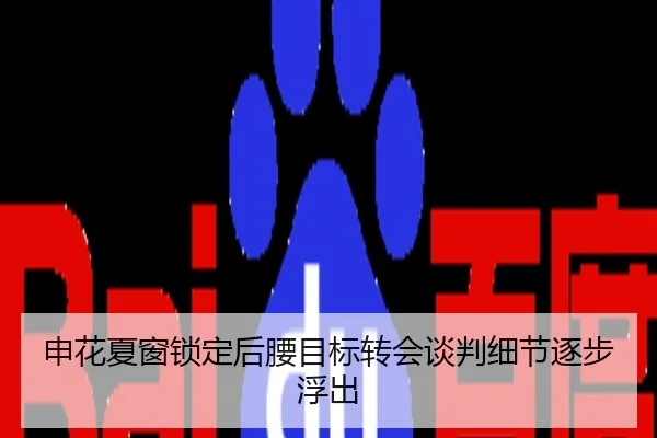 申花夏窗锁定后腰目标转会谈判细节逐步浮出